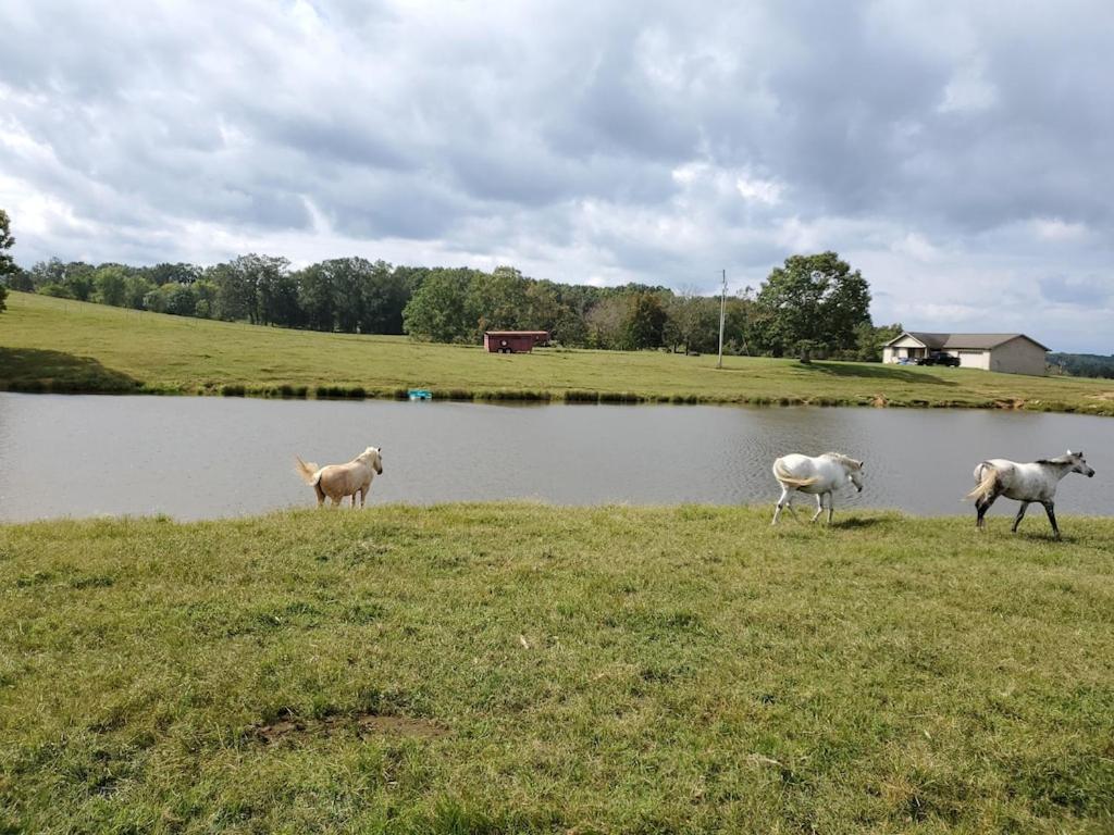 Secluded House On 60 Acres Close To Fall Creek Falls Pikeville Eksteriør billede
